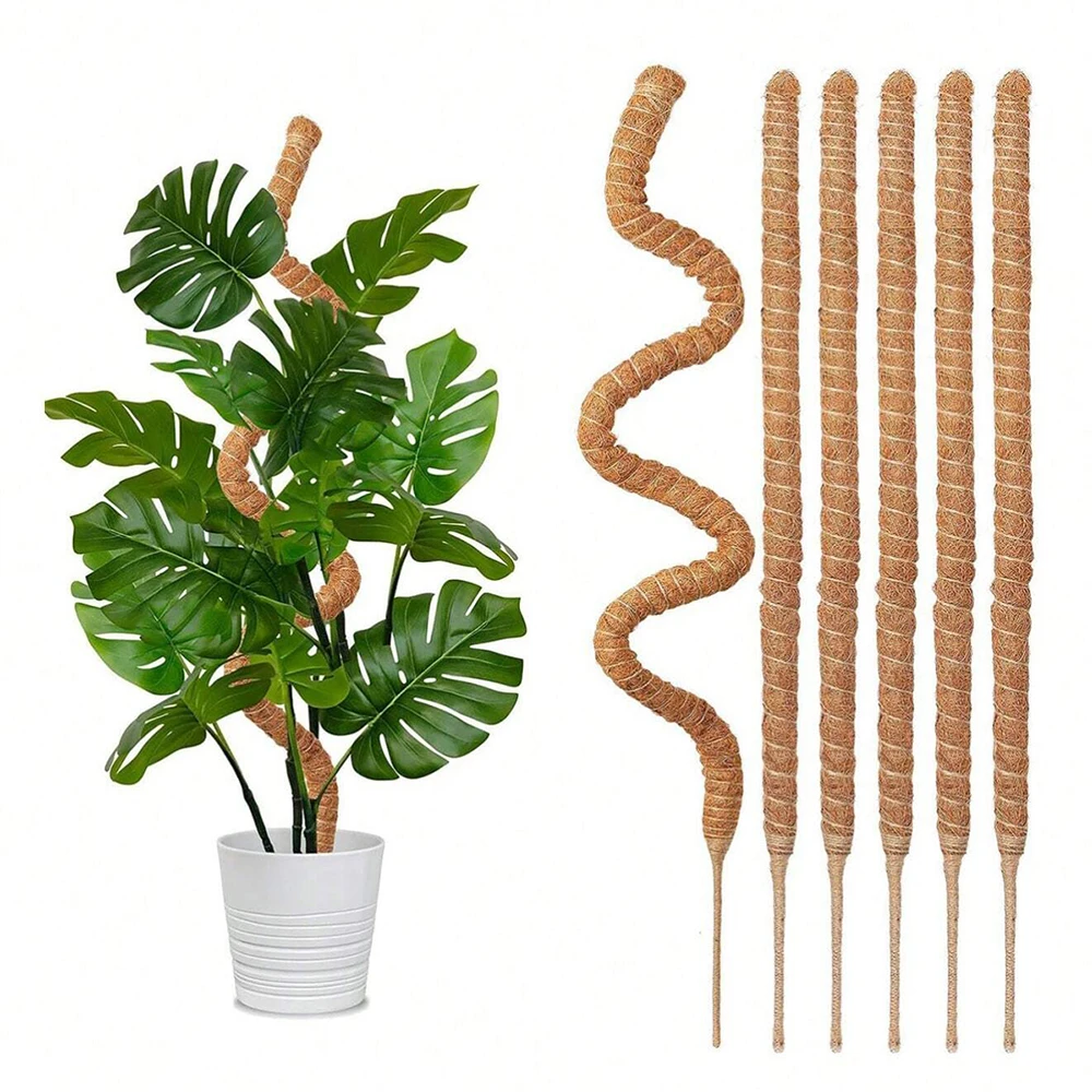 Plant Support Stake - دعامات تثبيت نبات المونستيرا، عمود تسلق