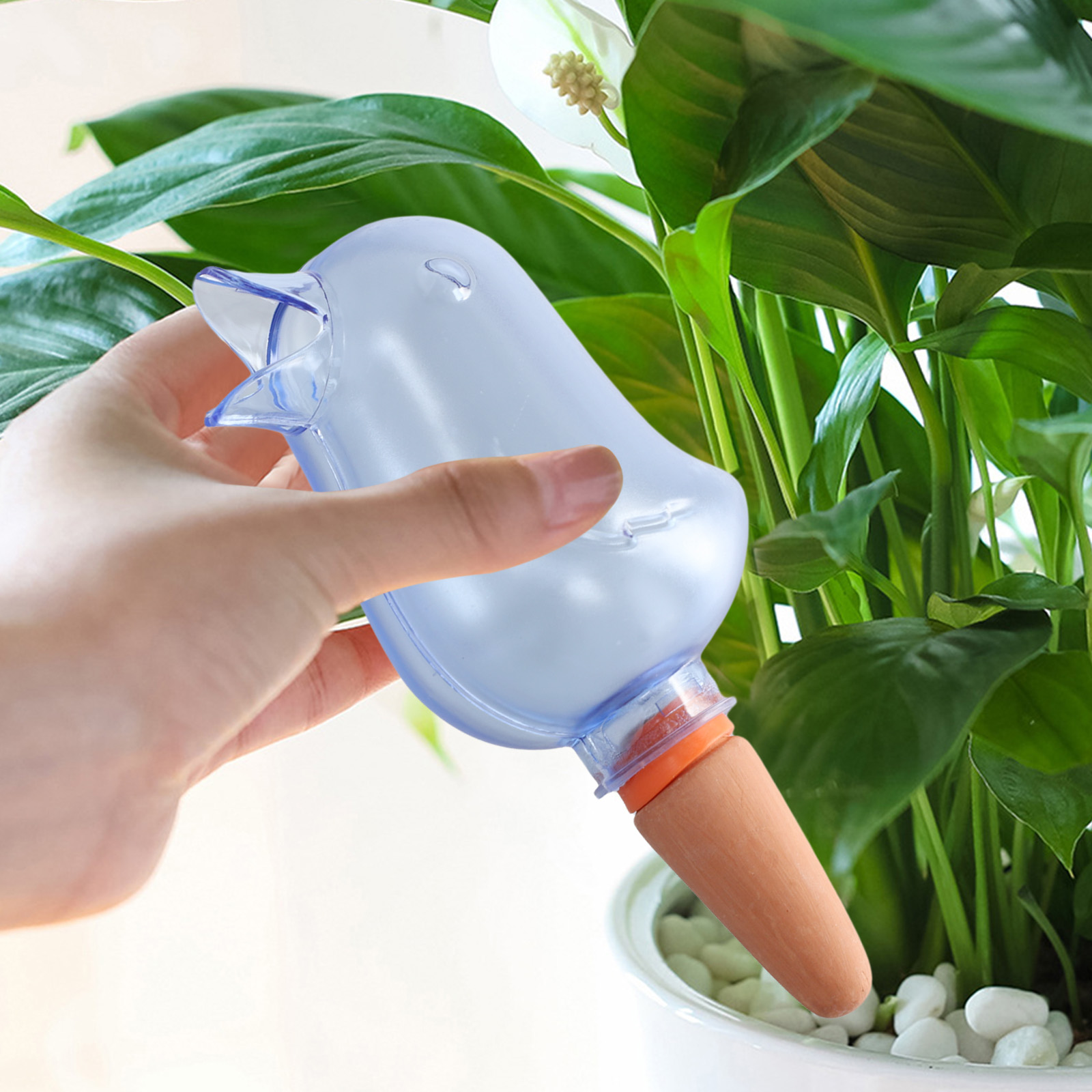 Pothos - نظام الري بالتنقيط النباتي الأوتوماتيكي على