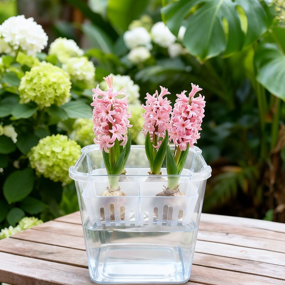 وعاء زراعة مائية للزهور، مناسب - مراجعة Indoor Plants وسعره