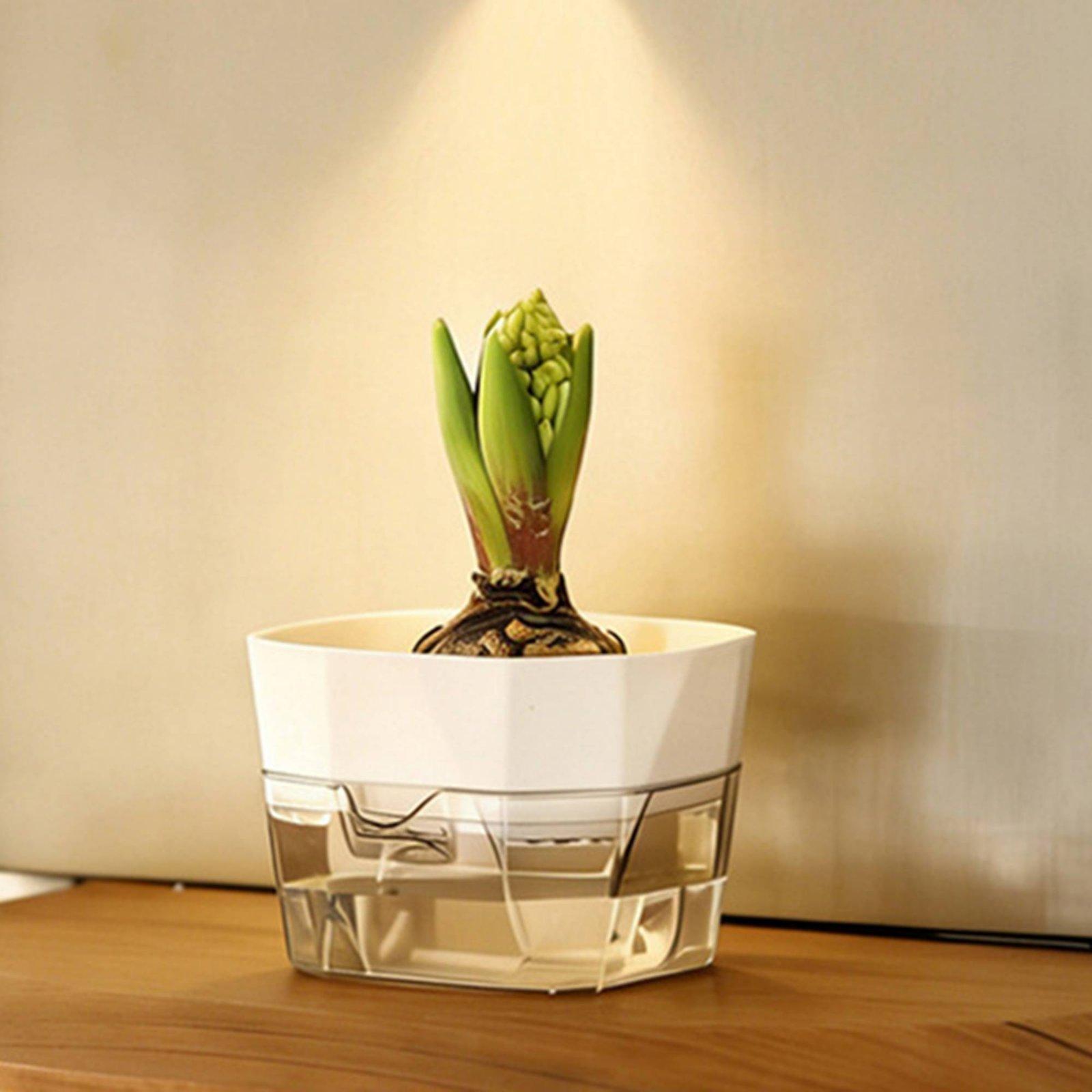 وعاء زراعة مائية ذاتي الري بطب - مراجعة Indoor Plants وسعره