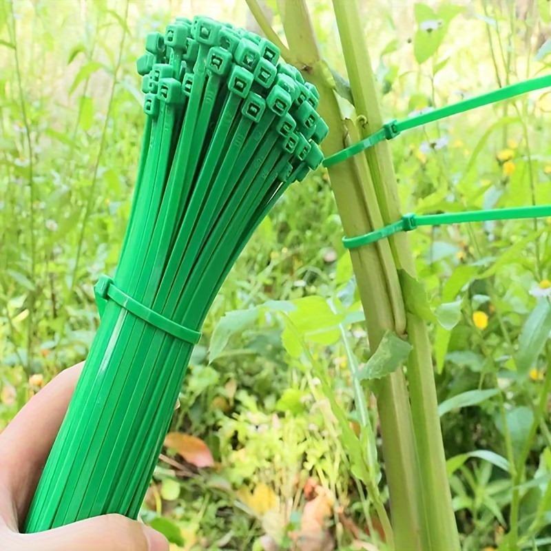 100 قطعة من رباطات الحدائق، لر - مراجعة Plant Pot وسعره