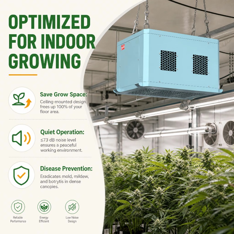 جهاز إزالة الرطوبة القوي للبيو - مراجعة Indoor Plants وسعره